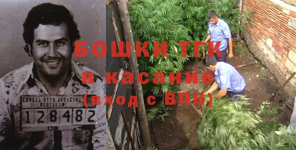 молекула духа Бронницы