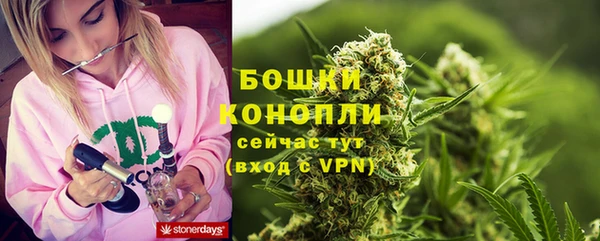 молекула духа Бронницы