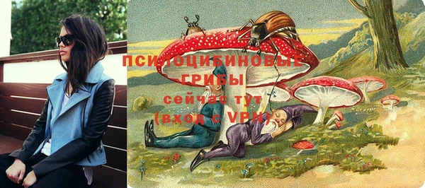 молекула духа Бронницы